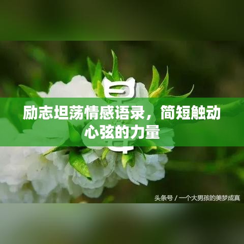 勵志坦蕩情感語錄，簡短觸動心弦的力量