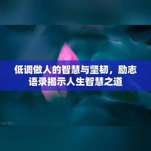 低調(diào)做人的智慧與堅(jiān)韌，勵(lì)志語錄揭示人生智慧之道