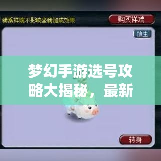 夢幻手游選號攻略大揭秘，最新指南，助你打造夢幻人生！
