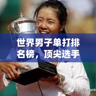 世界男子單打排名榜，頂尖選手的榮耀之路與奮斗軌跡