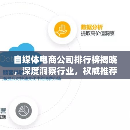 自媒體電商公司排行榜揭曉，深度洞察行業(yè)，權(quán)威推薦引領(lǐng)市場(chǎng)潮流