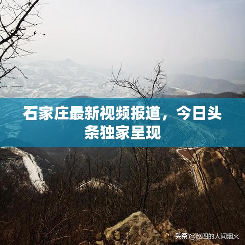 石家莊最新視頻報(bào)道，今日頭條獨(dú)家呈現(xiàn)