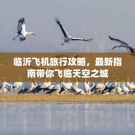 臨沂飛機(jī)旅行攻略，最新指南帶你飛臨天空之城