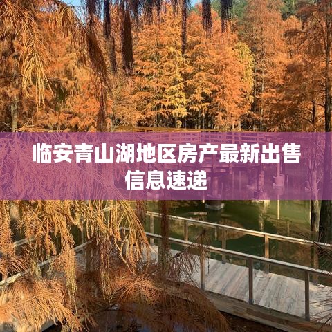 臨安青山湖地區(qū)房產(chǎn)最新出售信息速遞