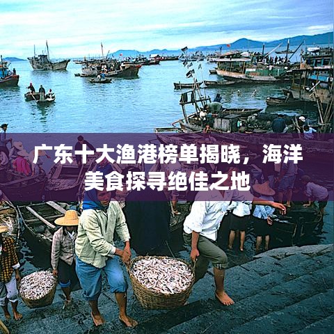 廣東十大漁港榜單揭曉，海洋美食探尋絕佳之地