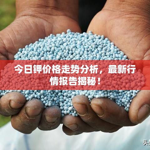 今日鉀價(jià)格走勢(shì)分析，最新行情報(bào)告揭秘！