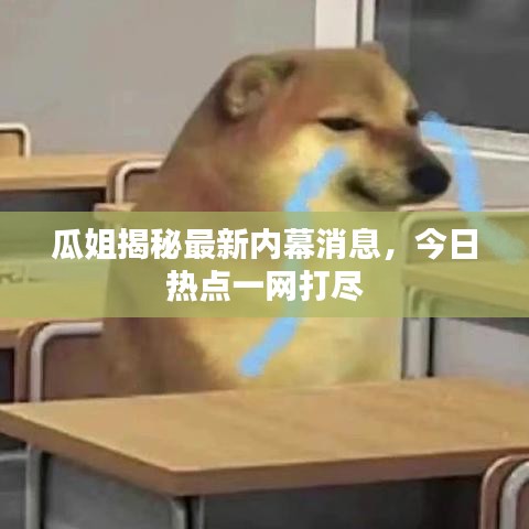 瓜姐揭秘最新內(nèi)幕消息，今日熱點(diǎn)一網(wǎng)打盡