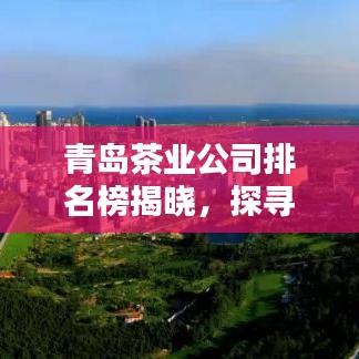 青島茶業(yè)公司排名榜揭曉，探尋茶韻之島的頂尖品質(zhì)先鋒