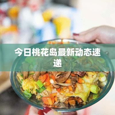 今日桃花島最新動態(tài)速遞