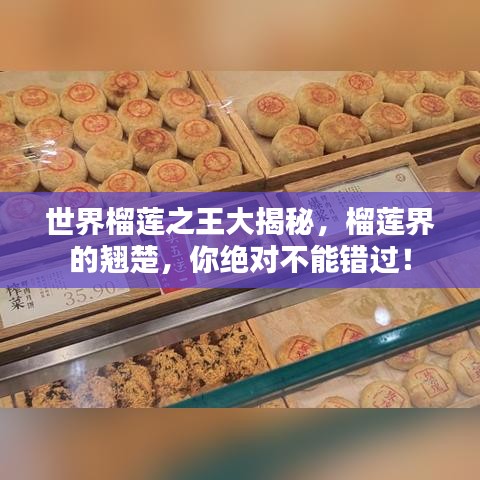 世界榴蓮之王大揭秘，榴蓮界的翹楚，你絕對不能錯(cuò)過！