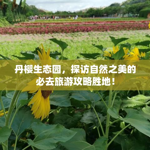 丹櫻生態(tài)園，探訪自然之美的必去旅游攻略勝地！