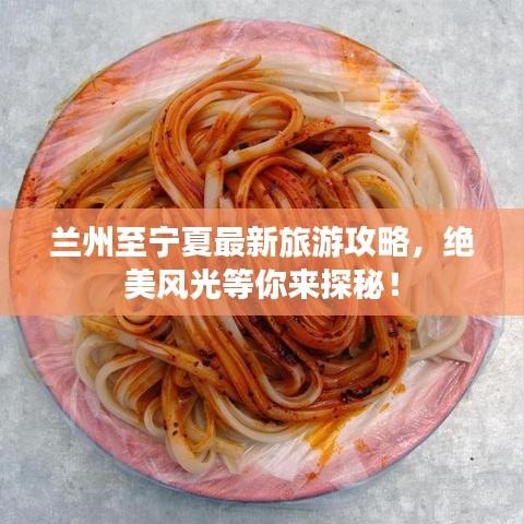 蘭州至寧夏最新旅游攻略，絕美風光等你來探秘！