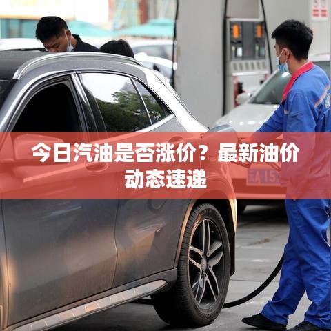 今日汽油是否漲價？最新油價動態(tài)速遞