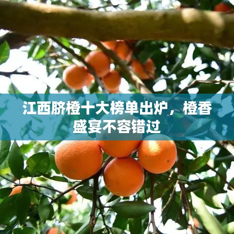 2025年6月9日 第35頁(yè)