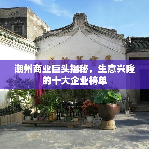 潮州商業(yè)巨頭揭秘，生意興隆的十大企業(yè)榜單