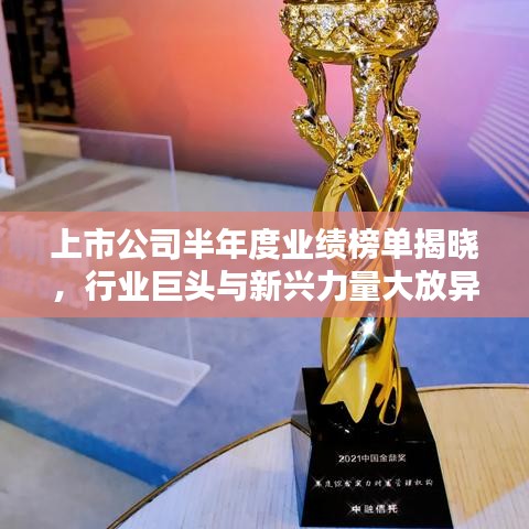 上市公司半年度業(yè)績榜單揭曉，行業(yè)巨頭與新興力量大放異彩