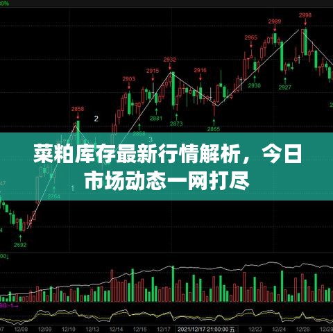 菜粕庫(kù)存最新行情解析，今日市場(chǎng)動(dòng)態(tài)一網(wǎng)打盡