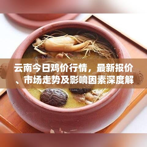 云南今日雞價行情，最新報價、市場走勢及影響因素深度解析