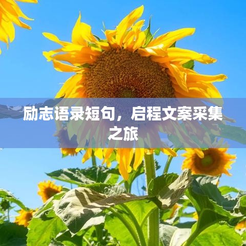 勵志語錄短句，啟程文案采集之旅