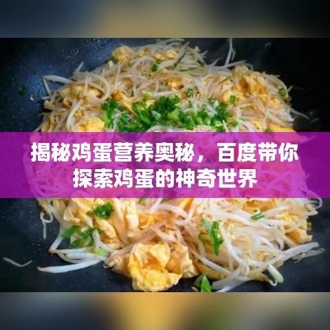 揭秘雞蛋營(yíng)養(yǎng)奧秘，百度帶你探索雞蛋的神奇世界