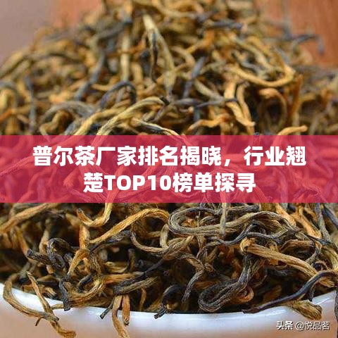 普爾茶廠家排名揭曉，行業(yè)翹楚TOP10榜單探尋