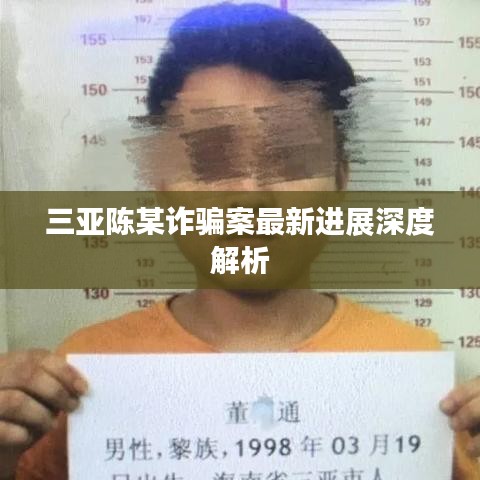 三亞陳某詐騙案最新進展深度解析