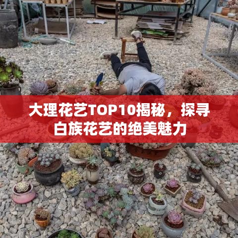 大理花藝TOP10揭秘，探尋白族花藝的絕美魅力