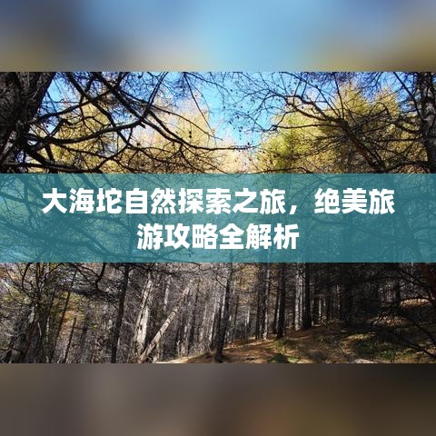 大海坨自然探索之旅，絕美旅游攻略全解析