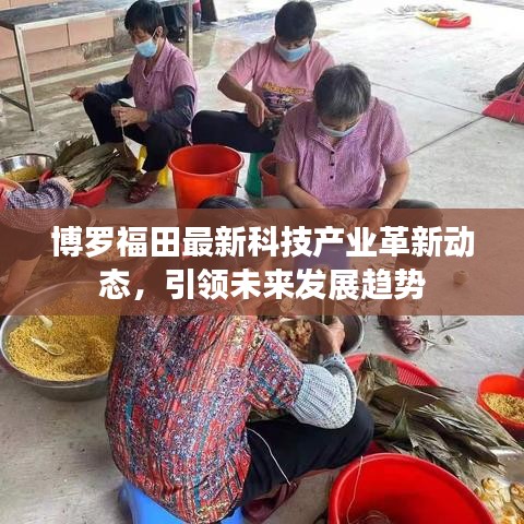博羅福田最新科技產(chǎn)業(yè)革新動態(tài)，引領未來發(fā)展趨勢