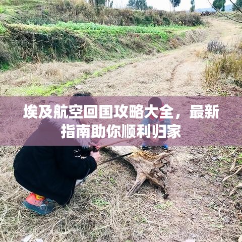 埃及航空回國攻略大全，最新指南助你順利歸家