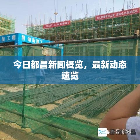 今日都昌新聞概覽，最新動態(tài)速覽