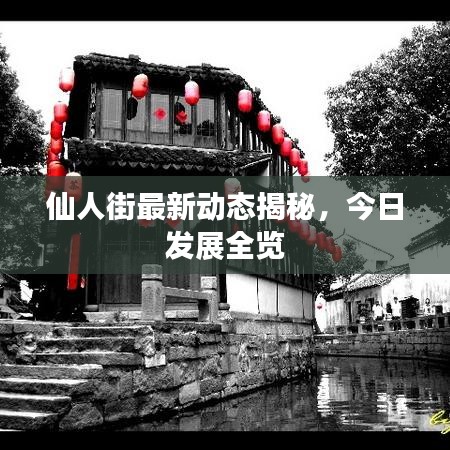 仙人街最新動態(tài)揭秘，今日發(fā)展全覽