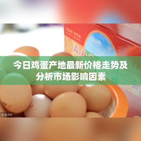 今日雞蛋產(chǎn)地最新價(jià)格走勢及分析市場影響因素