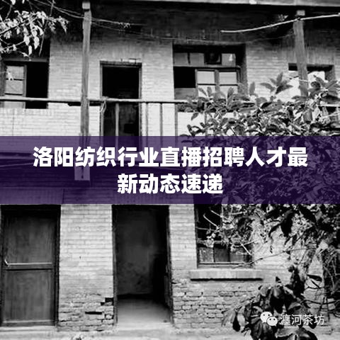 洛陽(yáng)紡織行業(yè)直播招聘人才最新動(dòng)態(tài)速遞