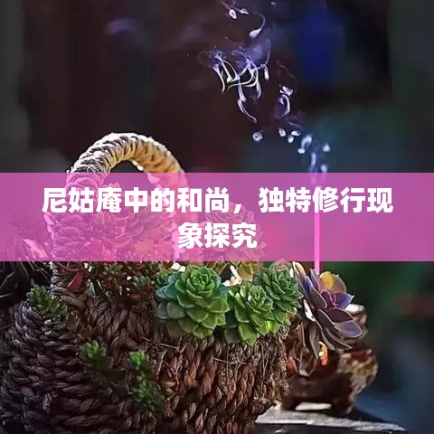 尼姑庵中的和尚，獨特修行現(xiàn)象探究