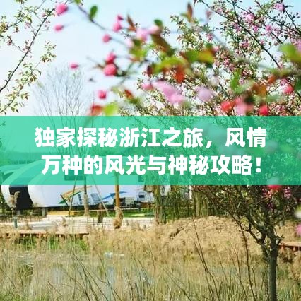 獨(dú)家探秘浙江之旅，風(fēng)情萬種的風(fēng)光與神秘攻略！