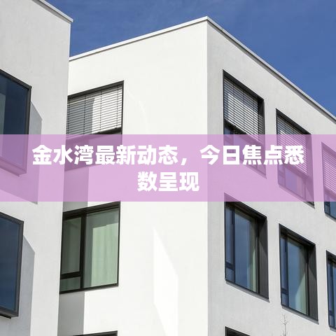 金水灣最新動態(tài)，今日焦點(diǎn)悉數(shù)呈現(xiàn)