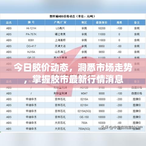 今日膠價動態(tài)，洞悉市場走勢，掌握膠市最新行情消息