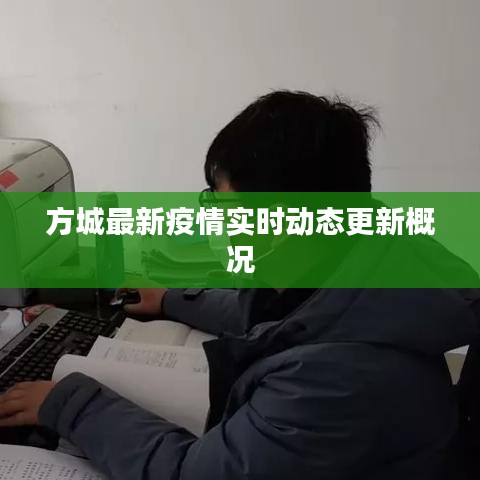 方城最新疫情實時動態(tài)更新概況