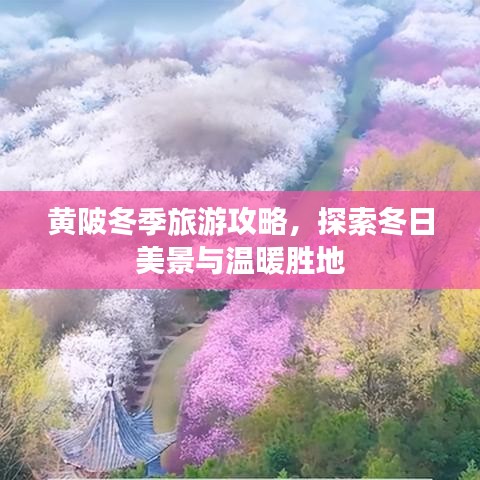 黃陂冬季旅游攻略，探索冬日美景與溫暖勝地