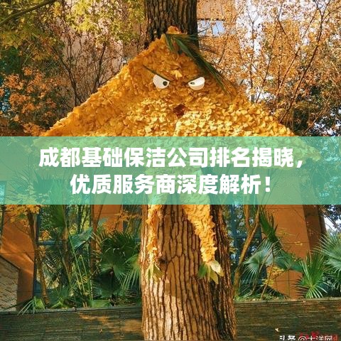 成都基礎保潔公司排名揭曉，優(yōu)質服務商深度解析！