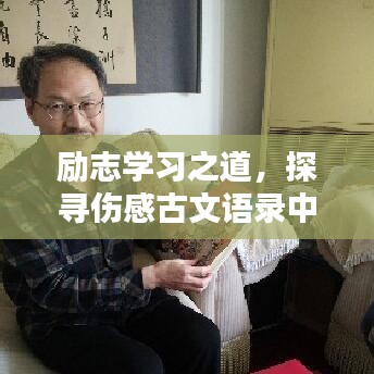 勵志學習之道，探尋傷感古文語錄中的智慧啟迪