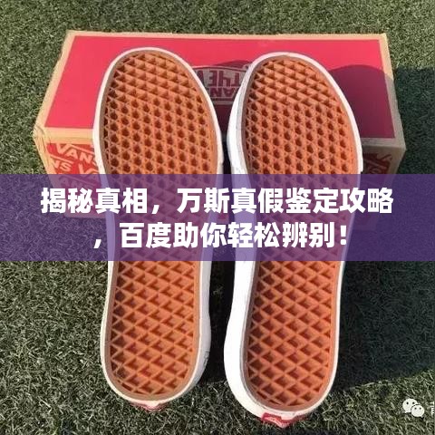 揭秘真相，萬(wàn)斯真假鑒定攻略，百度助你輕松辨別！