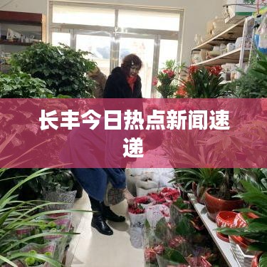 長豐今日熱點新聞速遞