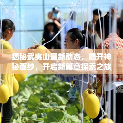 揭秘武夷山最新動態(tài)，揭開神秘面紗，開啟新篇章探索之旅