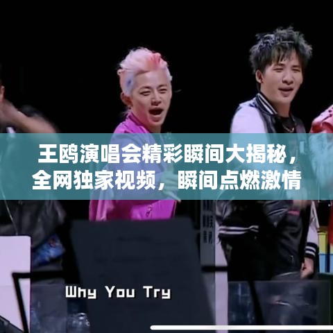 王鷗演唱會(huì)精彩瞬間大揭秘，全網(wǎng)獨(dú)家視頻，瞬間點(diǎn)燃激情！