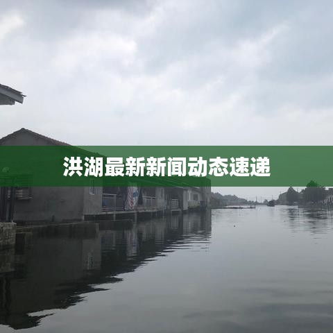 洪湖最新新聞動態(tài)速遞