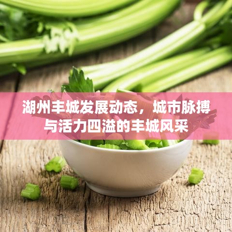 湖州豐城發(fā)展動態(tài)，城市脈搏與活力四溢的豐城風(fēng)采