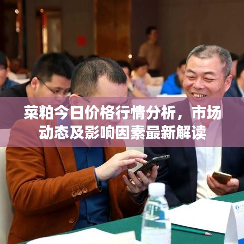 菜粕今日價(jià)格行情分析，市場(chǎng)動(dòng)態(tài)及影響因素最新解讀