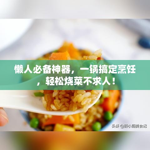 懶人必備神器，一鍋搞定烹飪，輕松燒菜不求人！